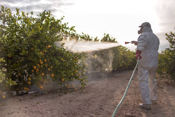 Best Mosquito Control  in Irwin, PA